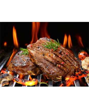 Mangal Kömürü